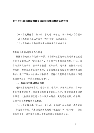 （在发挥党委“把方向、保落实”核心作用上存在差距、在履行全面从严治党“两个责任”上存在短板、在推动企业高质量发展的具体实践中存在不足）关于2025年巡察反馈意见的对照检查和整改承诺汇报.docx