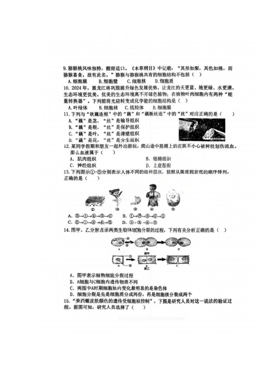 2025年风华中学七年级生物期中测试卷.docx_第2页