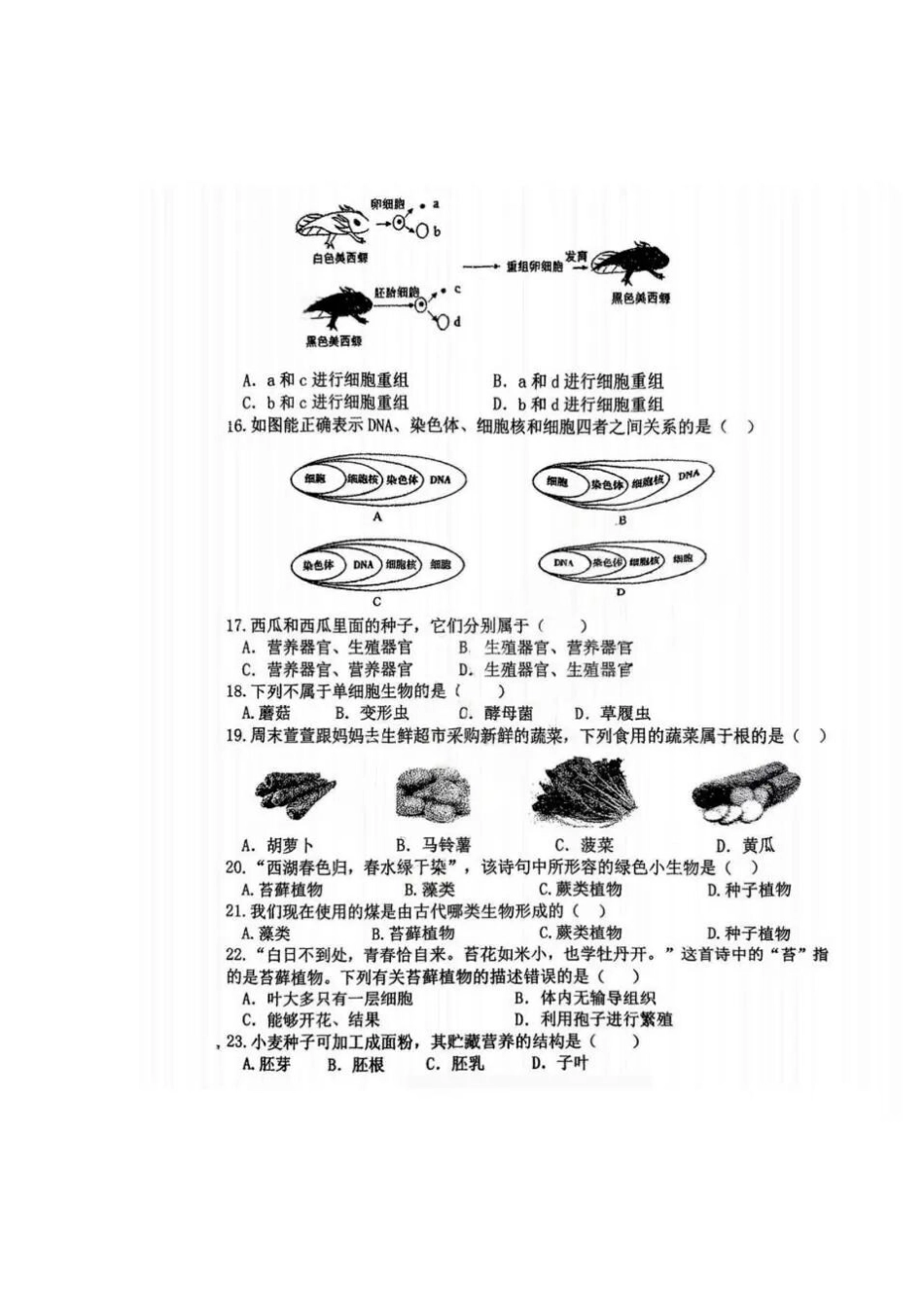 2025年风华中学七年级生物期中测试卷.docx_第3页