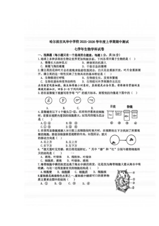 2025年风华中学七年级生物期中测试卷.docx