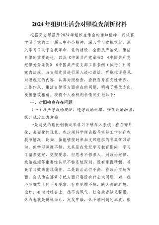 2024-2025年组织生活会个人对照检查3200字.docx