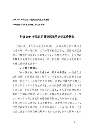 乡镇2024年党组织书记抓基层党建工作报告+乡镇党委书记抓基层党建工作述职报告.pdf