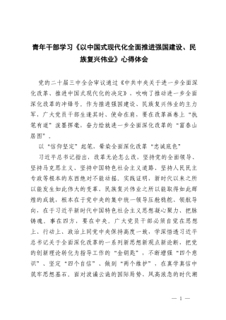 4篇 2025年学习遵循《以中国式现代化全面推进强国建设、复兴伟业》心得体会.docx