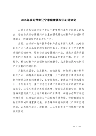 2025年学习贯彻辽宁考察重要指示心得体会（附简短版）.pdf