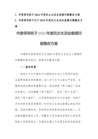 两篇：领导班子关于2024年度民主生活会查摆问题整改方案范文.docx