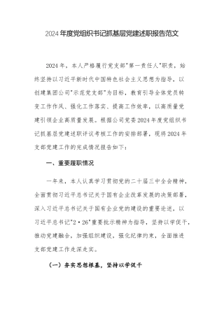 2024年度党组织书记抓基层党建述职报告范文.docx