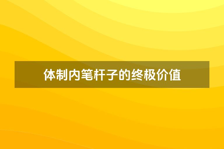 体制内笔杆子的终极价值
