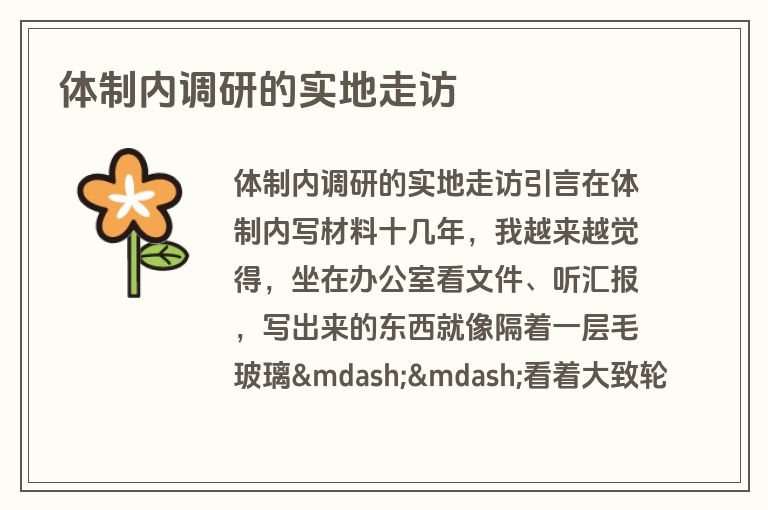 体制内调研的实地走访