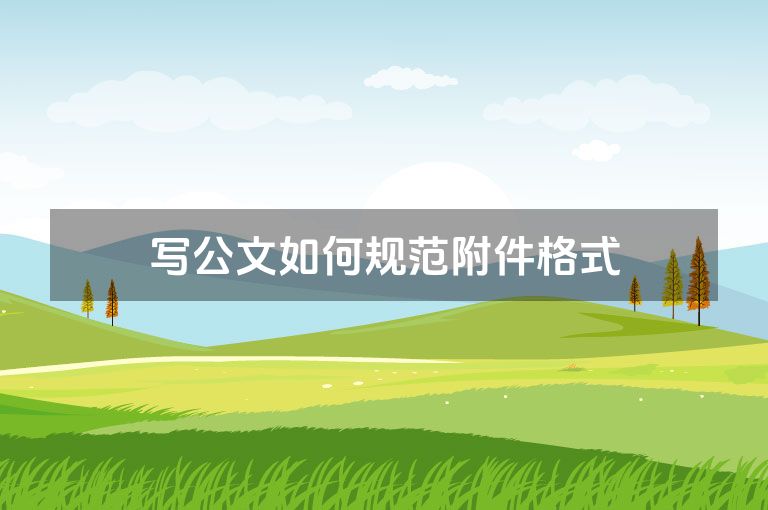 写公文如何规范附件格式 写公文如何规范附件格式